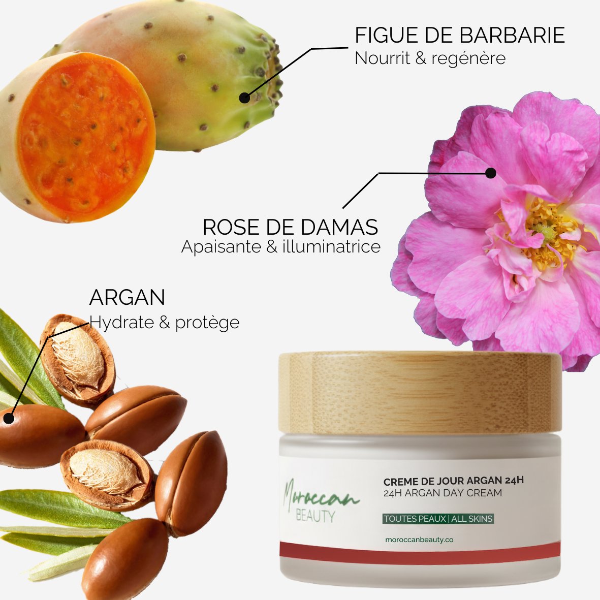 24h Argan Day Cream - Nourish & Protect